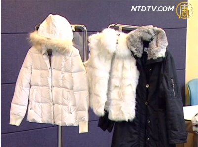 中國兔草產製殘忍 動保團體籲拒買
