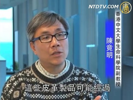 港專家指皮革奶致癌 促嚴懲不法商