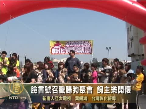 臉書號召臘腸狗聚會 飼主樂開懷