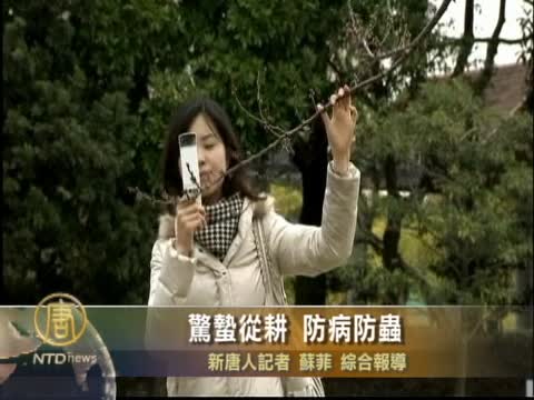 驚蟄從耕 防病防虫