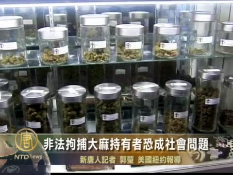 非法拘捕大麻持有者恐成社會問題