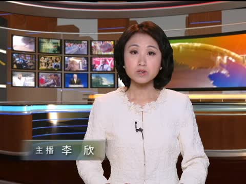 法新社確認利比亞政府軍抓捕3記者