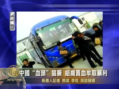 中國“血頭”猖獗 組織賣血牟取暴利