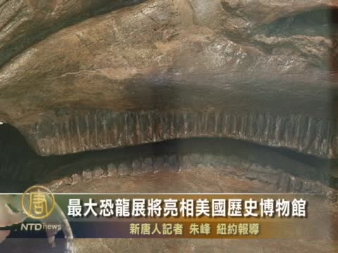 最大恐龍展將亮相美國歷史博物館
