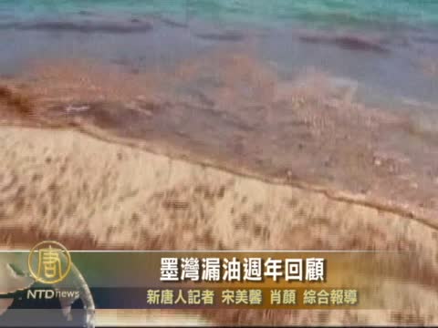 墨灣漏油週年回顧