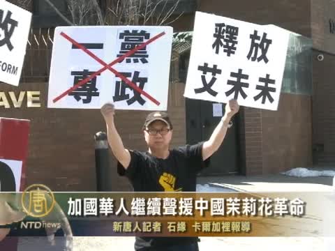 加國華人繼續聲援中國茉莉花革命