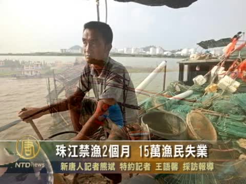 珠江禁漁2個月 15萬漁民失業