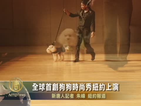全球首創狗狗時尚秀紐約上演