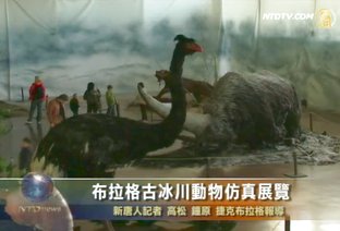 布拉格古冰川動物仿真展覽