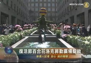 復活節百合花洛克菲勒廣場綻放