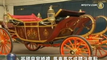 英國皇室婚禮  馬車馬匹成關注焦點