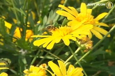 花博經濟效益188億 破原訂目標