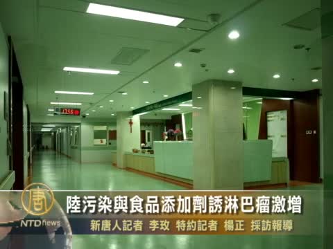 陸污染與食品添加劑誘淋巴瘤激增