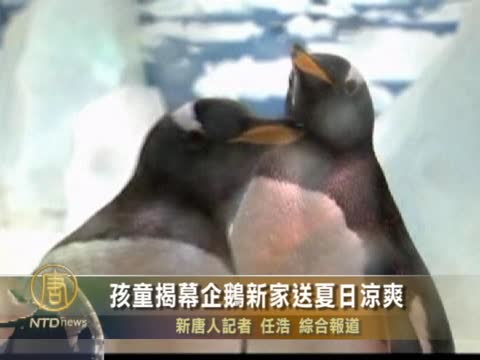 孩童揭幕企鵝新家送夏日涼爽