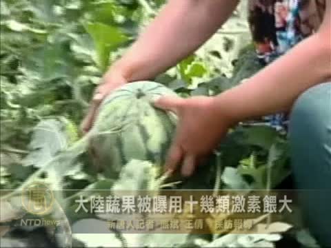 大陸蔬果被曝用十幾類激素催肥