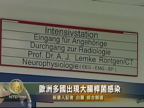 歐洲多國出現大腸桿菌感染