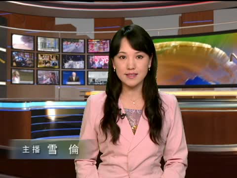 姆拉迪奇在海牙法庭首次出庭