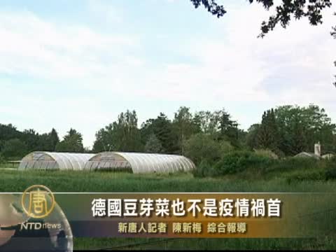 德國一農場可能是大腸桿菌源頭