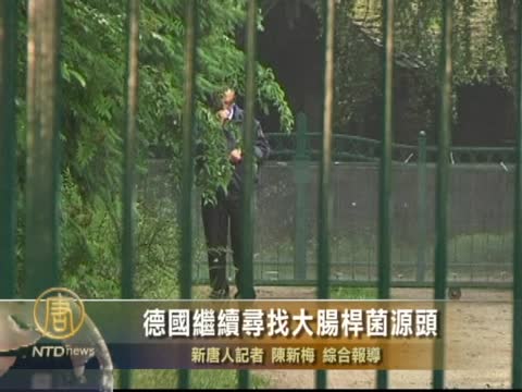 德國繼續尋找大腸桿菌源頭