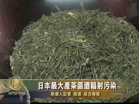 日本最大產茶區遭輻射污染