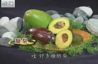 健康樂自在：養生蔬果-酪梨