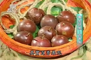 健康樂自在：養生蔬果-百香果/崧哥心靈之路