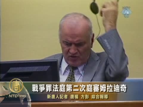 戰爭罪法庭第二次庭審姆拉迪奇