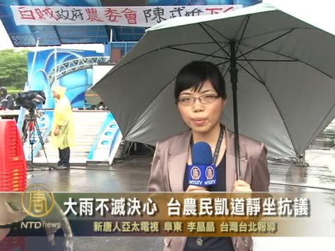大雨不滅決心　臺農民凱道靜坐抗議