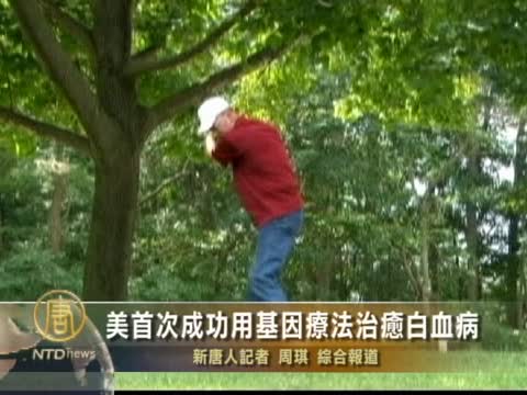 美首次成功用基因療法治癒白血病