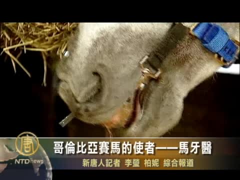 哥倫比亞賽馬的使者——馬牙醫