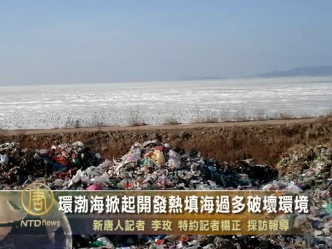 環渤海掀起開發熱填海過多破壞環境