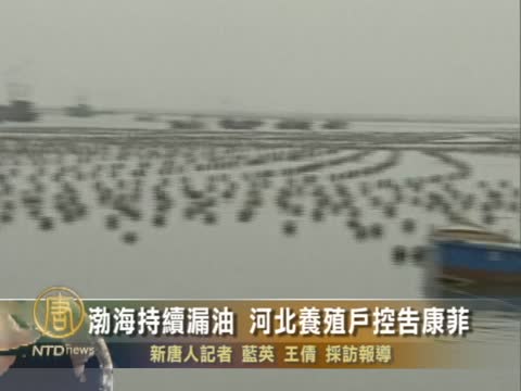 渤海持續漏油 河北養殖戶控告康菲