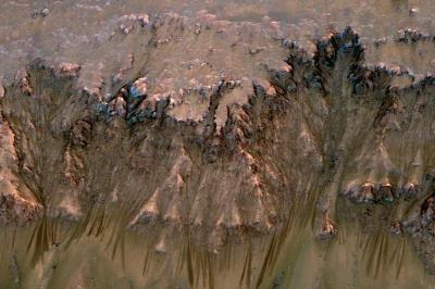 火星探測進展 NASA發現疑似液態水