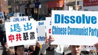 近日三退人數將達一億