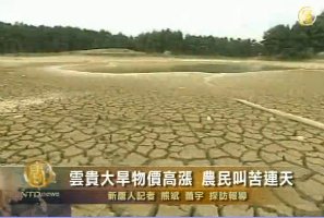 雲貴大旱物價高漲 農民叫苦連天