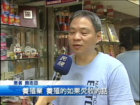 烏魚「熱斃」烏魚子醞釀漲價