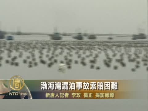 渤海灣漏油事故索賠困難
