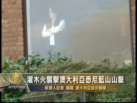 灌木火襲擊澳大利亞悉尼藍山山脈