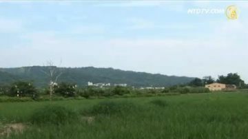 走出都市塵囂 八卦山南麓下的世外桃源