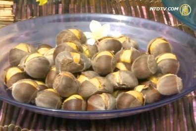 中埔鄉黃金板栗 美食養生倆相宜