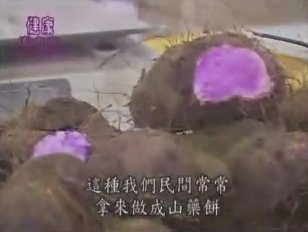 健康樂自在：養生蔬果篇——山藥