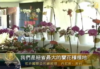 台灣蝴蝶蘭首航進駐澳洲
