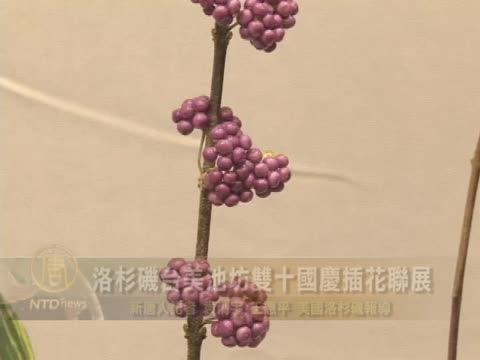 洛杉磯臺美池坊雙十國慶插花聯展