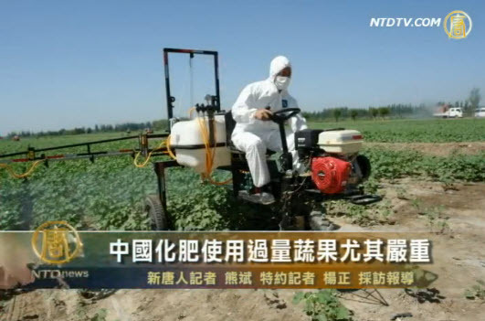 中國化肥使用過量蔬果尤其嚴重