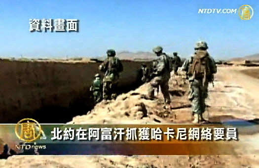 北約在阿富汗抓獲哈卡尼網絡要員