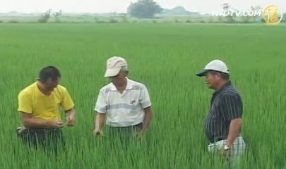 團隊合作出好米 管理經營更進階