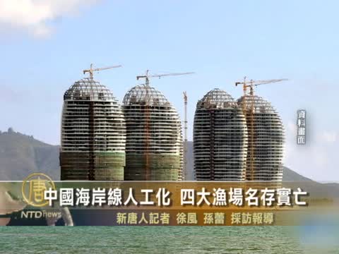 中國海岸線人工化 四大漁場名存實亡