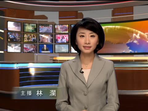 外媒：中共扶持太陽能企業的惡果