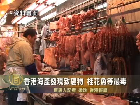 香港海產發現致癌物 桂花魚等最毒