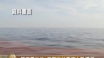 墨湾事故后 美首次拍卖海上勘探权